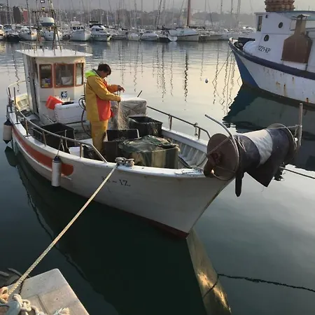 Fontana 公寓 伊佐拉