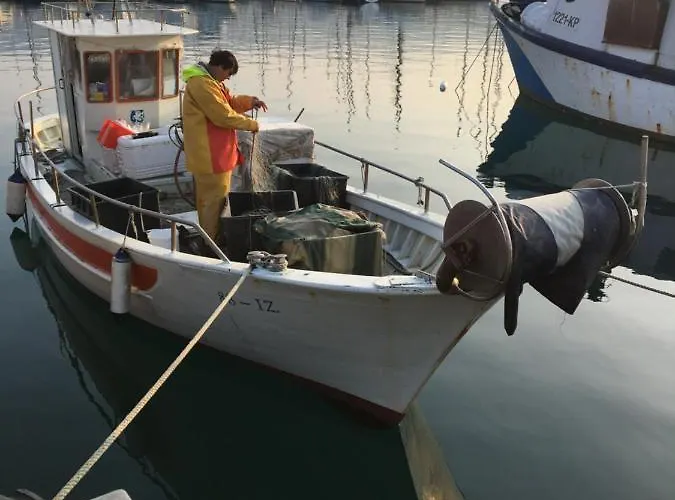 Fontana アパート イゾラ