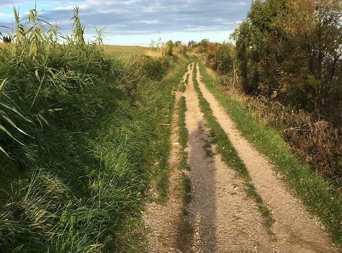 アパート Fontana イゾラ