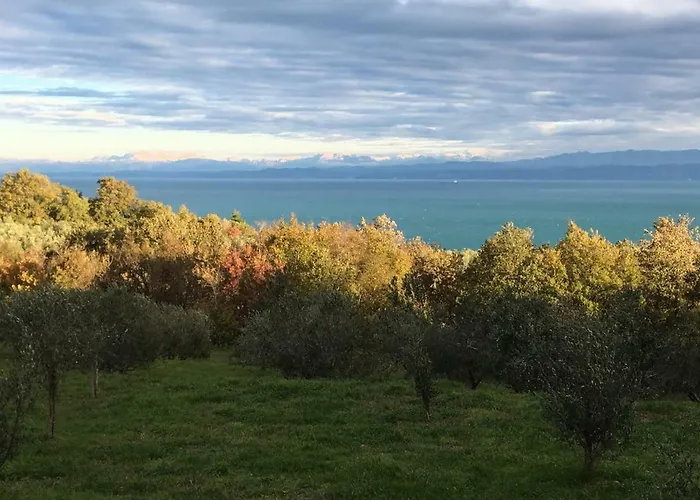 アパート Fontana イゾラ